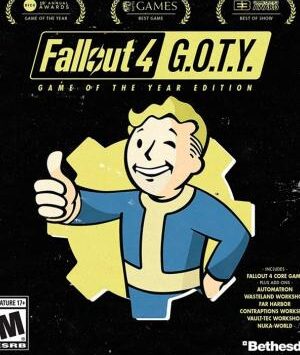 Fallout 4 Game of The Year Edition - PS4